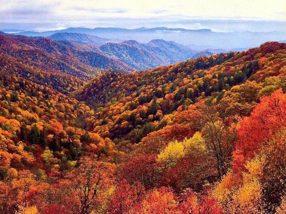 Whiskey Ridge Lodge: 1940s Gem with City Views and Custom Game Room Gatlinburg Exterior photo